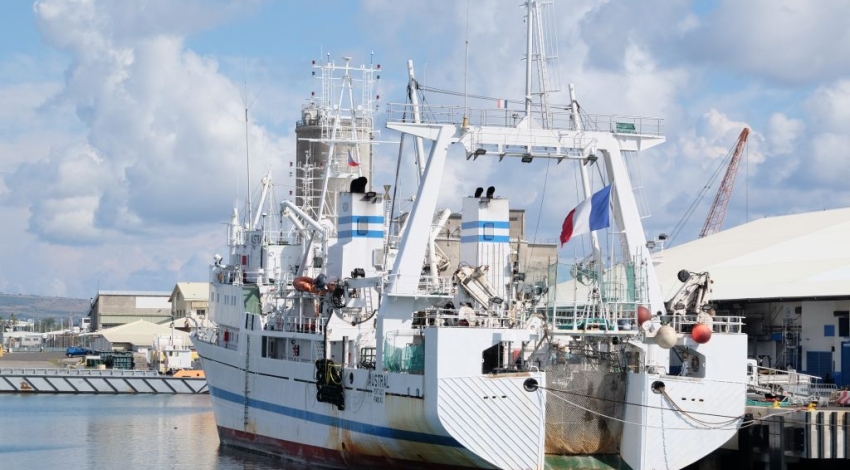 La Sapmer : les enjeux économiques et environnementaux d’une politique régionale controversée

La compagnie de pêche Sapmer est au cœur d’une polémique en raison de ses pratiques controversées. La Région, en soutenant cette entreprise, prend le risque de compromettre à la fois l’équilibre écologique et l’économie locale. Il est essentiel de prendre en compte les conséquences à long terme de telles décisions, afin de garantir un développement durable pour tous.