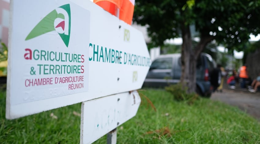 Irrégularités Cour comptes : chambre agriculture sous tutelle