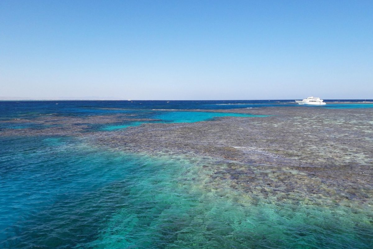 Meilleures excursions à Rodrigues : guide et classement