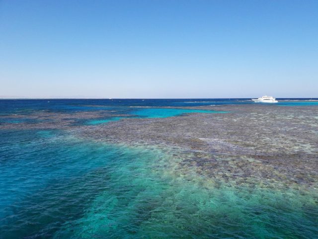 Meilleures excursions à Rodrigues : guide et classement