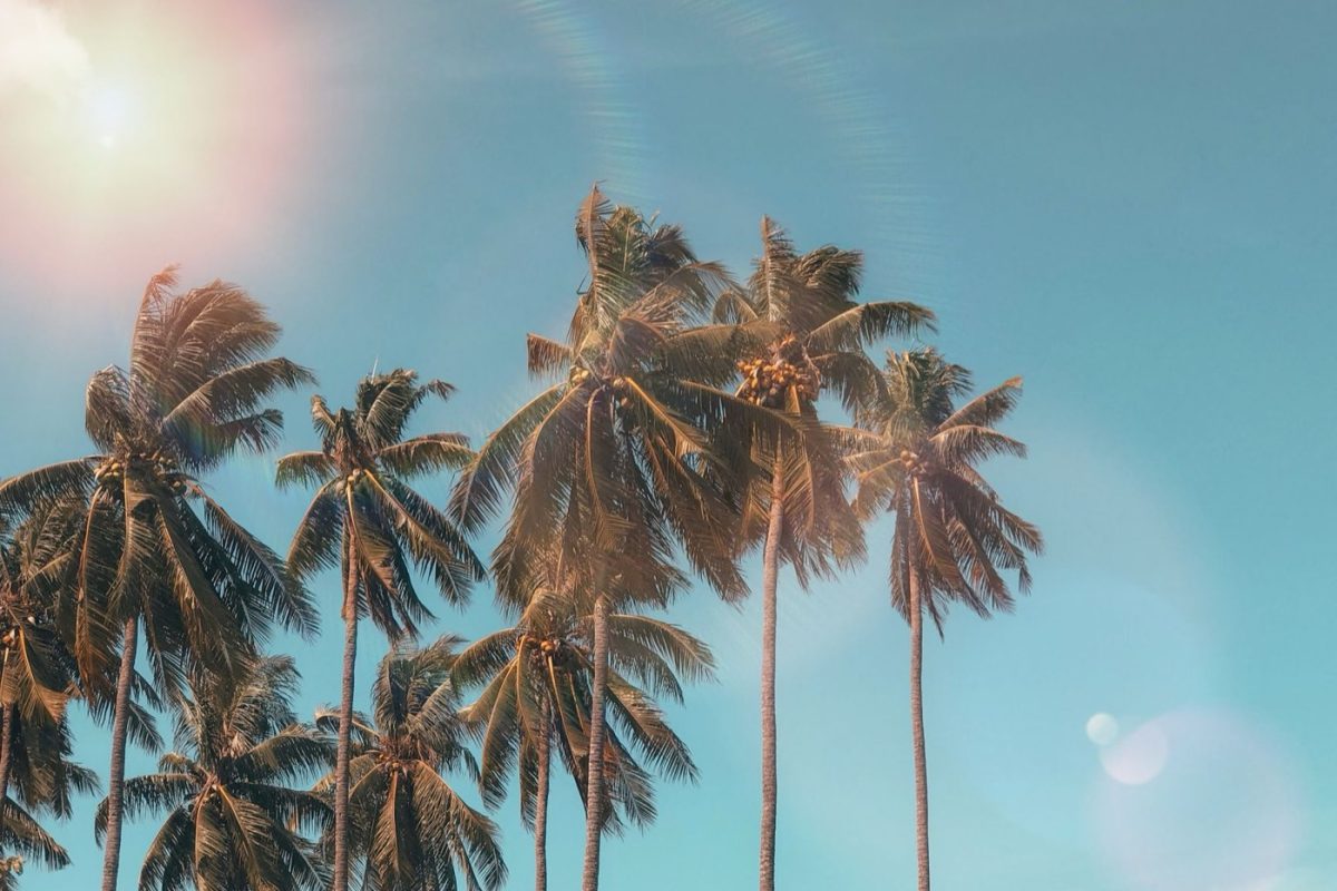 LUX* ou Constance : quel resort choisir à l'île Maurice