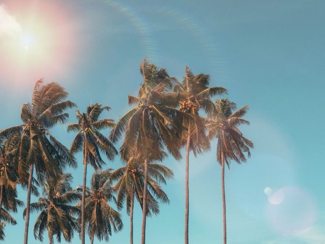 LUX* ou Constance : quel resort choisir à l’île Maurice